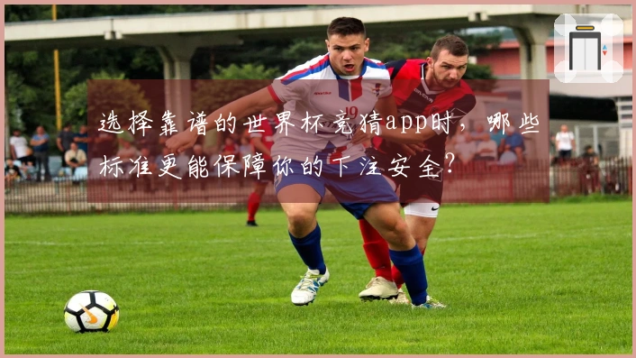 选择靠谱的世界杯竞猜app时，哪些标准更能保障你的下注安全？