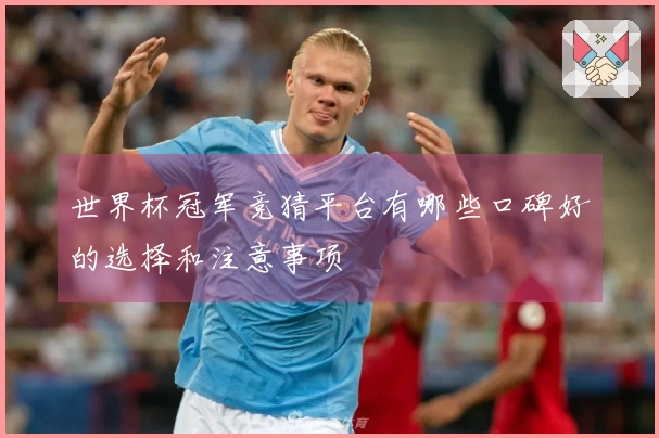 世界杯冠军竞猜平台有哪些口碑好的选择和注意事项