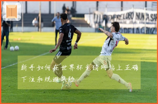 新手如何在世界杯竞猜网站上正确下注和规避风险