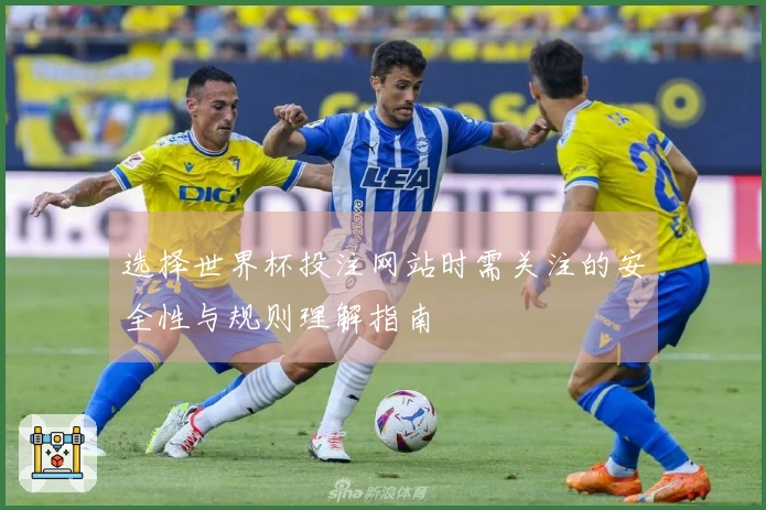选择世界杯投注网站时需关注的安全性与规则理解指南