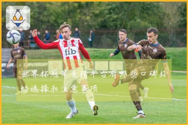 世界杯冠军竞猜平台有哪些口碑好的选择和注意事项