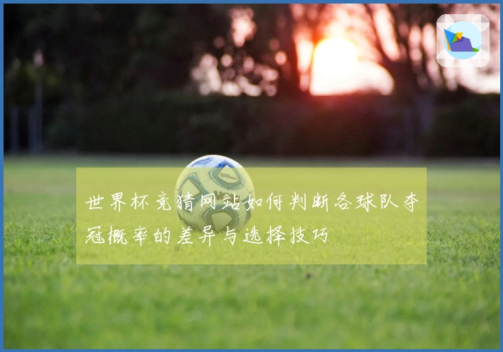 世界杯竞猜网站如何判断各球队夺冠概率的差异与选择技巧