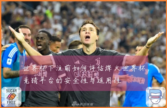 世界杯下注前如何评估烽火世界杯竞猜平台的安全性与适用性