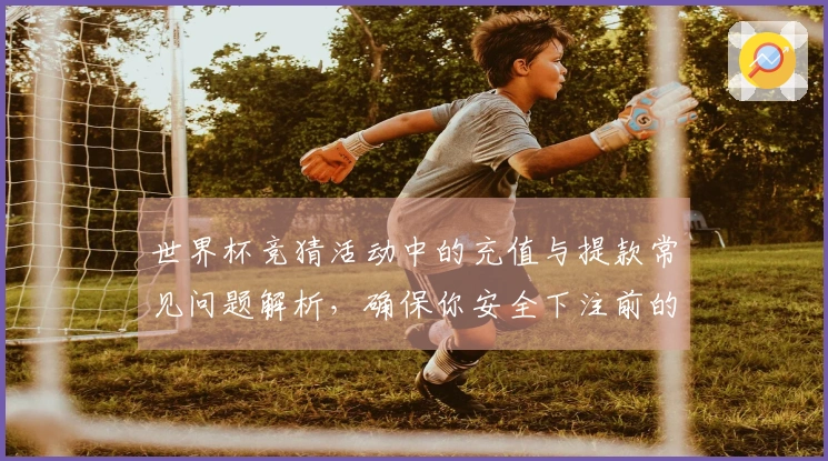 世界杯竞猜活动中的充值与提款常见问题解析，确保你安全下注前的每一步