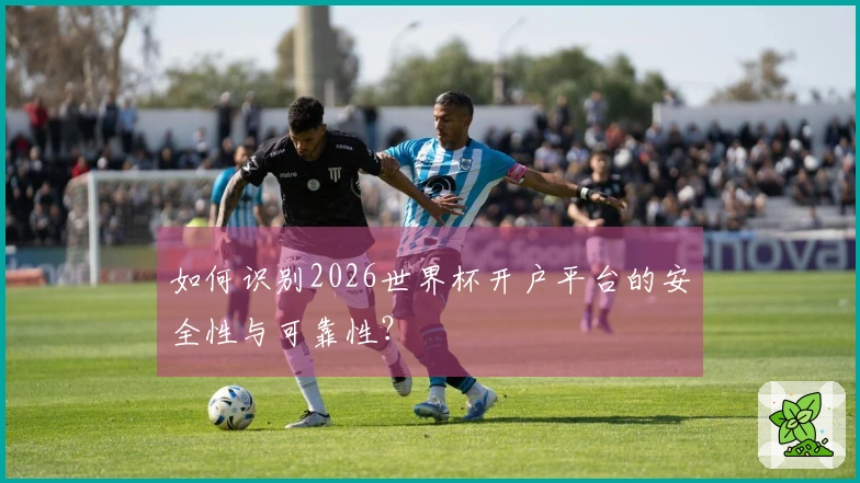 如何识别2026世界杯开户平台的安全性与可靠性？