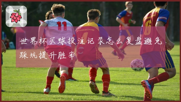 世界杯买球投注记录怎么复盘避免踩坑提升胜率