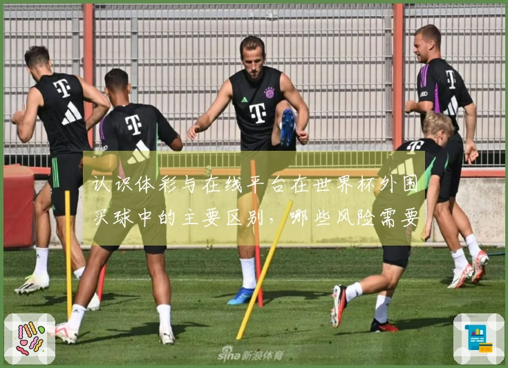 认识体彩与在线平台在世界杯外围买球中的主要区别，哪些风险需要警惕？