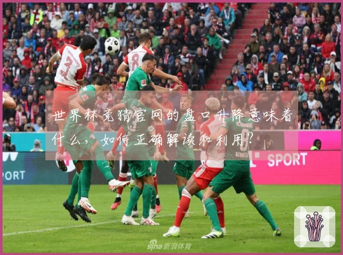 世界杯竞猜官网的盘口升降意味着什么，如何正确解读和利用？