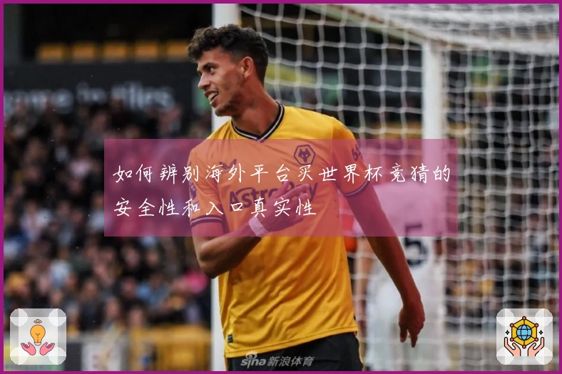 如何辨别海外平台买世界杯竞猜的安全性和入口真实性