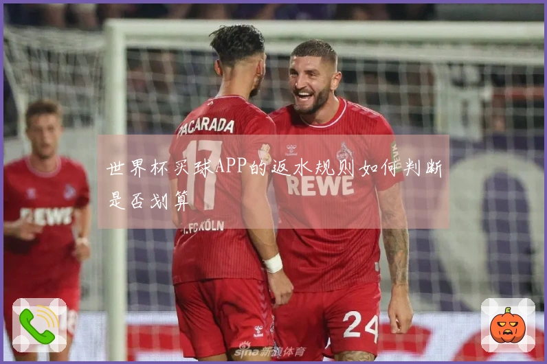 世界杯买球APP的返水规则如何判断是否划算
