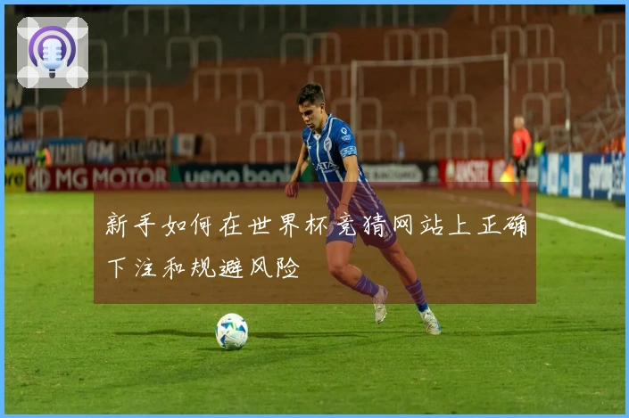 新手如何在世界杯竞猜网站上正确下注和规避风险