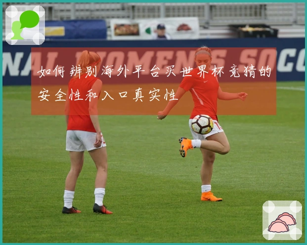 如何辨别海外平台买世界杯竞猜的安全性和入口真实性