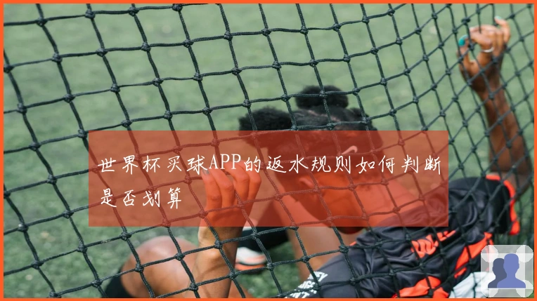世界杯买球APP的返水规则如何判断是否划算