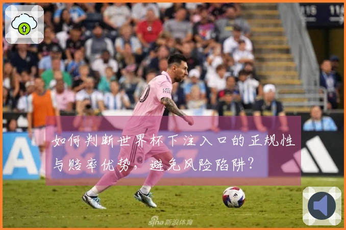 如何判断世界杯下注入口的正规性与赔率优势,避免风险陷阱?