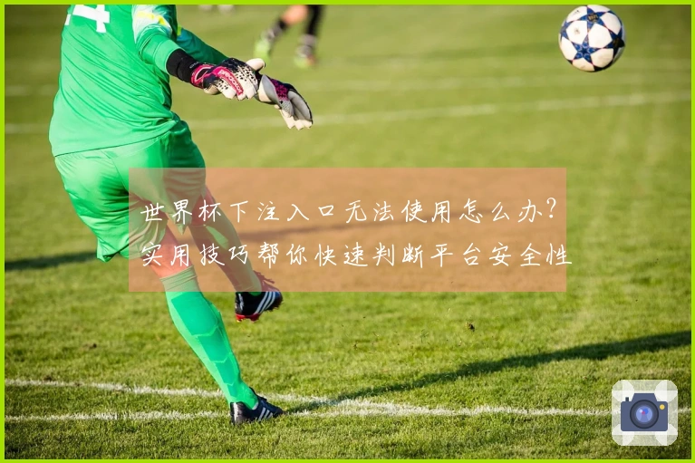 世界杯下注入口无法使用怎么办？实用技巧帮你快速判断平台安全性