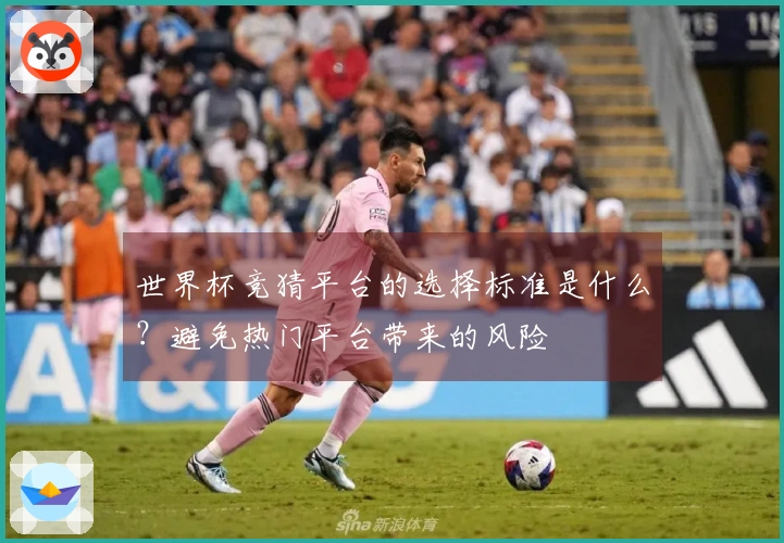 世界杯竞猜平台的选择标准是什么？避免热门平台带来的风险