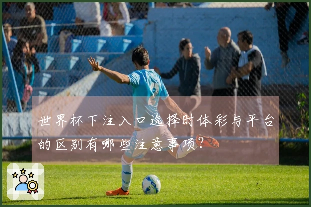 世界杯下注入口选择时体彩与平台的区别有哪些注意事项？
