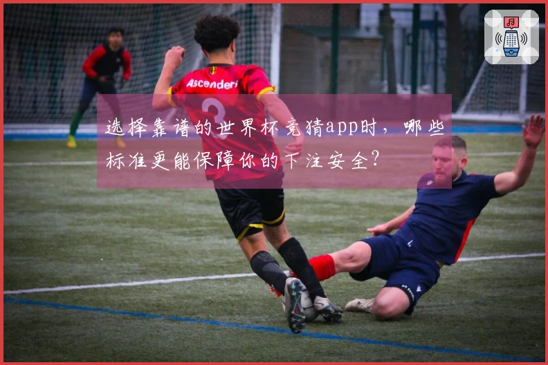 选择靠谱的世界杯竞猜app时，哪些标准更能保障你的下注安全？