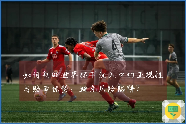 如何判断世界杯下注入口的正规性与赔率优势，避免风险陷阱？