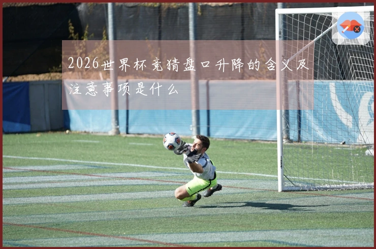 2026世界杯竞猜盘口升降的含义及注意事项是什么